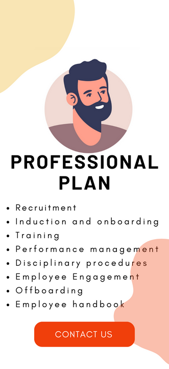 professional plan